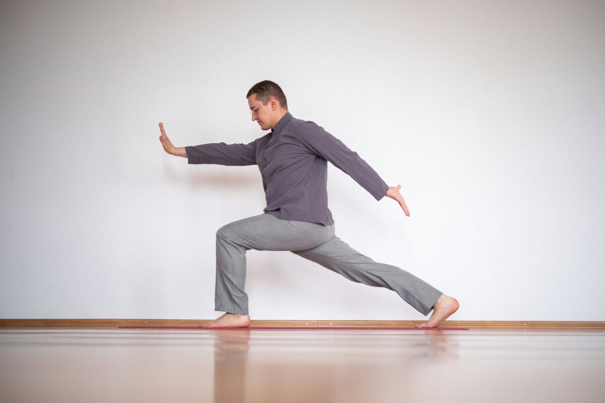 Andrija Bosanac-Schroetter — Meridians through Yoga — From Knowledge to Practice